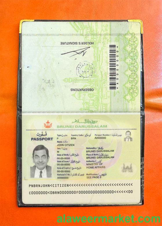 Brunei pass photo look